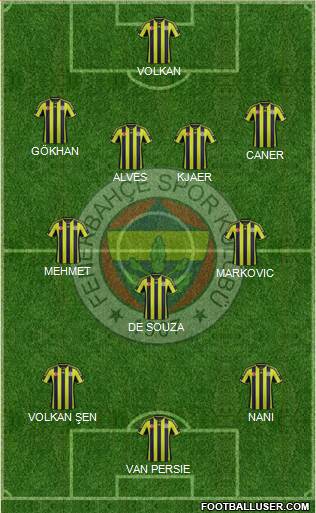 Fenerbahçe SK Formation 2015