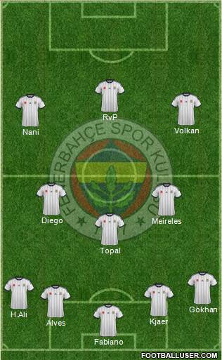 Fenerbahçe SK Formation 2015