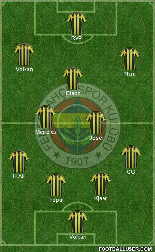 Fenerbahçe SK Formation 2015