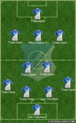 TSG 1899 Hoffenheim Formation 2015