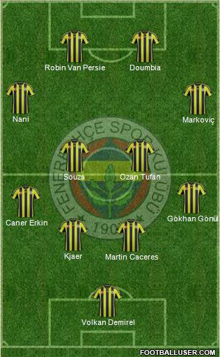 Fenerbahçe SK Formation 2015