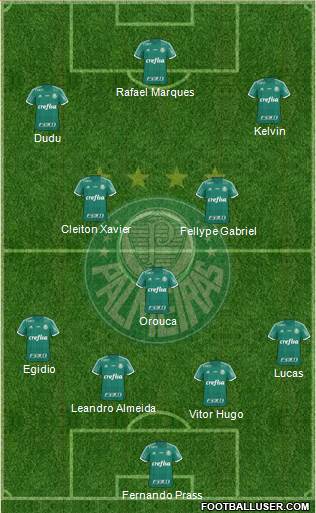 SE Palmeiras Formation 2015