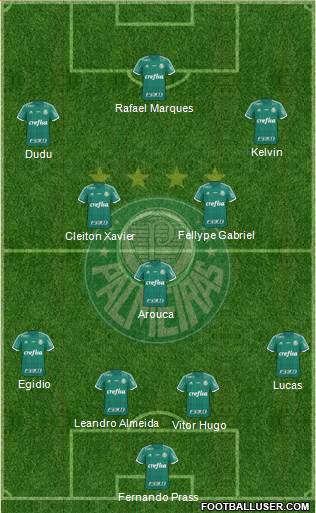 SE Palmeiras Formation 2015