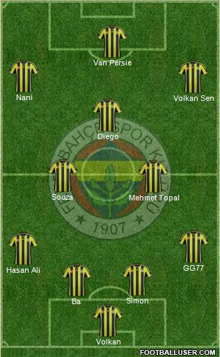 Fenerbahçe SK Formation 2015