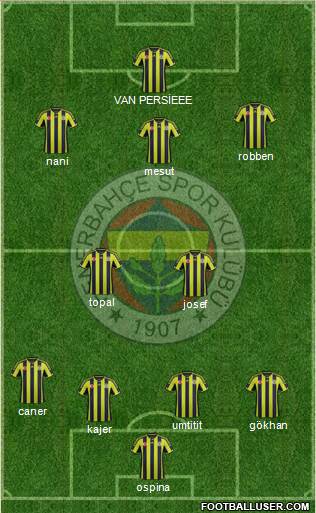 Fenerbahçe SK Formation 2015