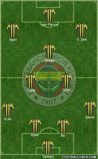 Fenerbahçe SK Formation 2015