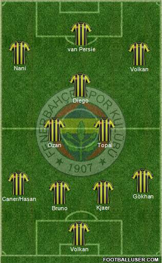 Fenerbahçe SK Formation 2015