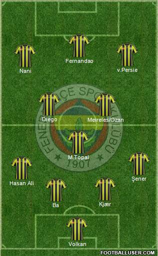 Fenerbahçe SK Formation 2015