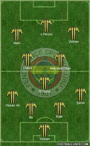 Fenerbahçe SK Formation 2015