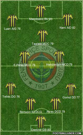Fenerbahçe SK Formation 2015