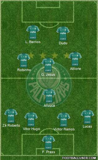 SE Palmeiras Formation 2015