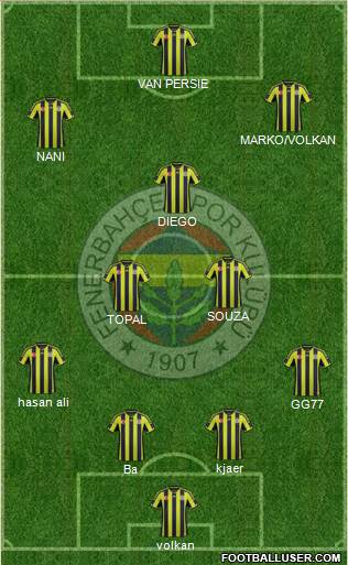 Fenerbahçe SK Formation 2015