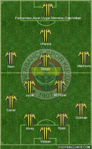 Fenerbahçe SK Formation 2015