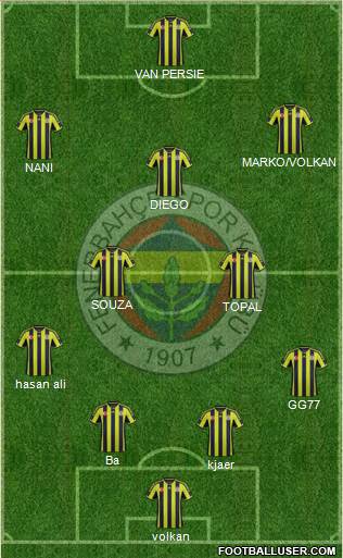 Fenerbahçe SK Formation 2015