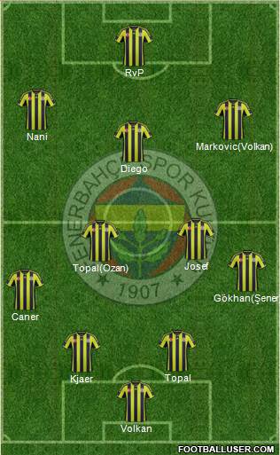 Fenerbahçe SK Formation 2015