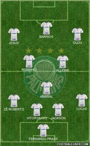 SE Palmeiras Formation 2015