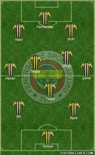 Fenerbahçe SK Formation 2015