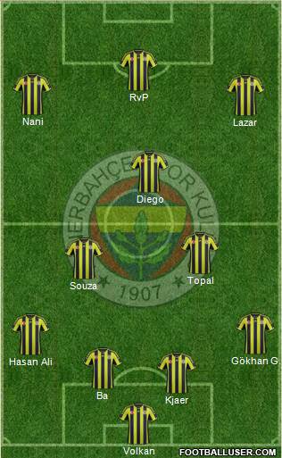Fenerbahçe SK Formation 2015