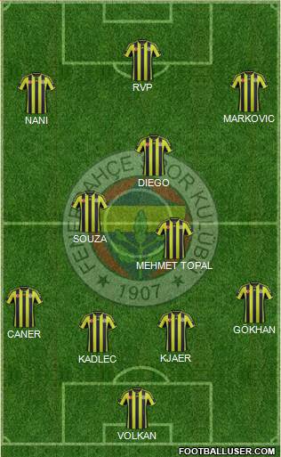 Fenerbahçe SK Formation 2015