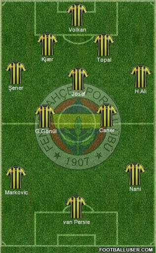 Fenerbahçe SK Formation 2015