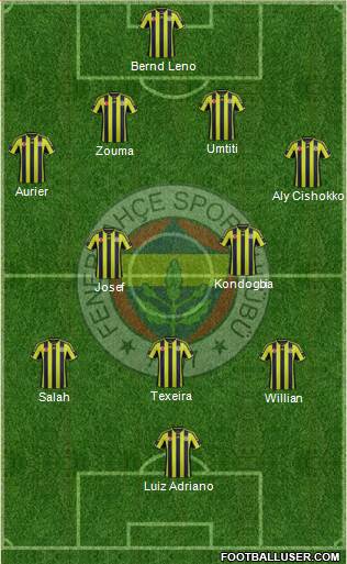 Fenerbahçe SK Formation 2015