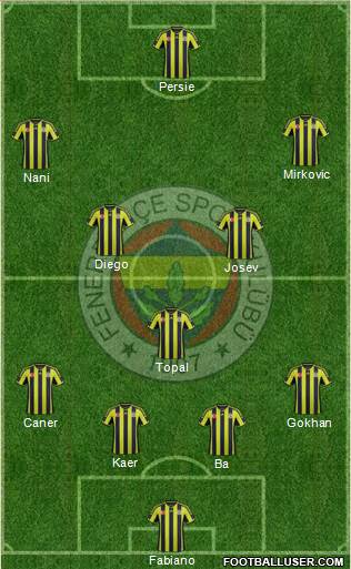 Fenerbahçe SK Formation 2015