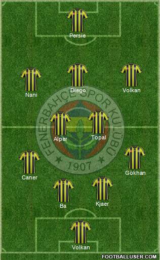 Fenerbahçe SK Formation 2015