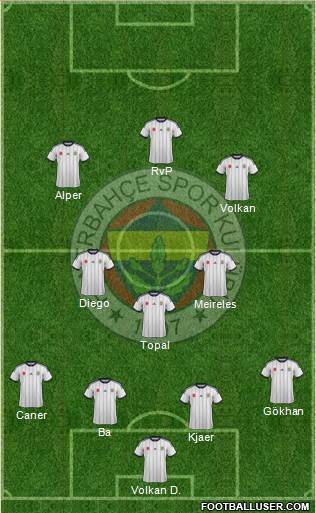 Fenerbahçe SK Formation 2015