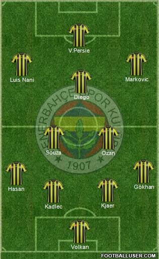 Fenerbahçe SK Formation 2015