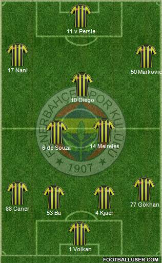 Fenerbahçe SK Formation 2015
