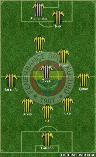 Fenerbahçe SK Formation 2015