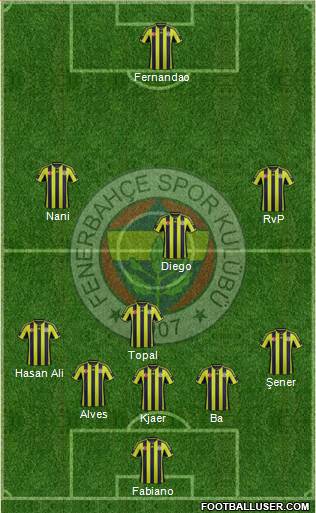 Fenerbahçe SK Formation 2015