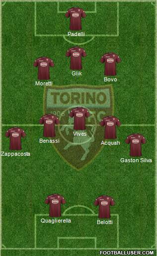 Torino Formation 2015
