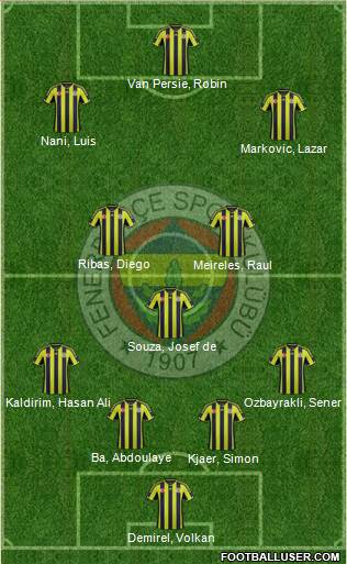 Fenerbahçe SK Formation 2015