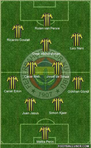 Fenerbahçe SK Formation 2015