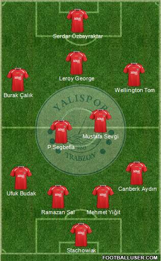 Yalispor Formation 2015