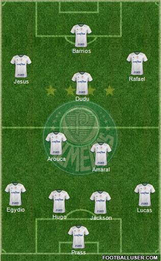 SE Palmeiras Formation 2015