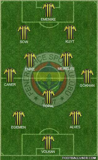 Fenerbahçe SK Formation 2015