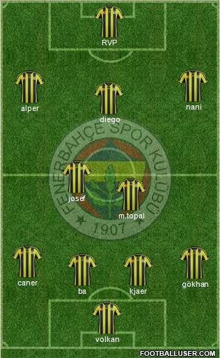 Fenerbahçe SK Formation 2015