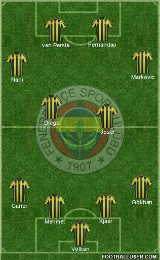Fenerbahçe SK Formation 2015