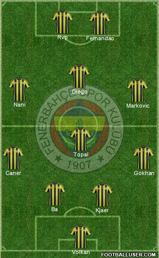 Fenerbahçe SK Formation 2015