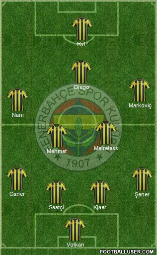 Fenerbahçe SK Formation 2015