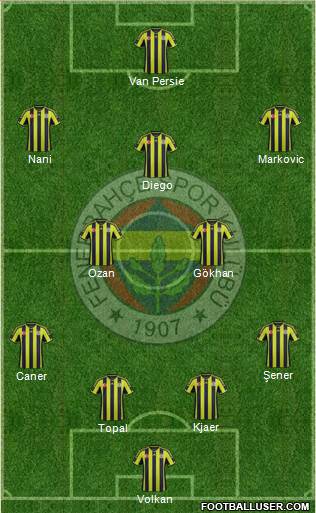 Fenerbahçe SK Formation 2015