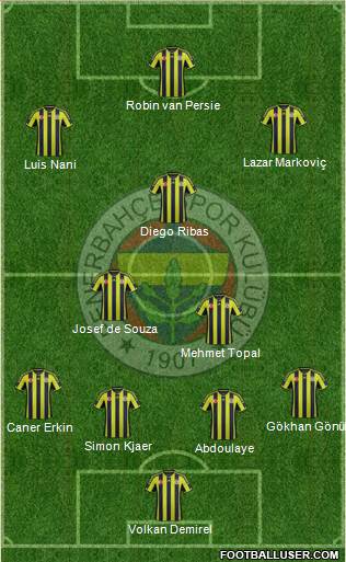Fenerbahçe SK Formation 2015