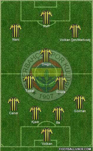 Fenerbahçe SK Formation 2015
