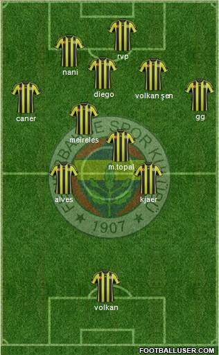 Fenerbahçe SK Formation 2015