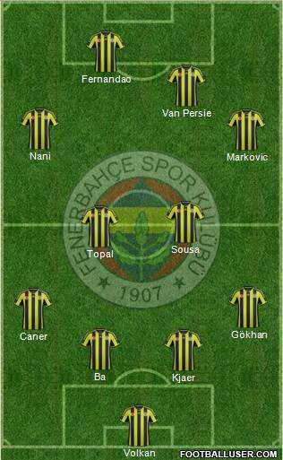 Fenerbahçe SK Formation 2015