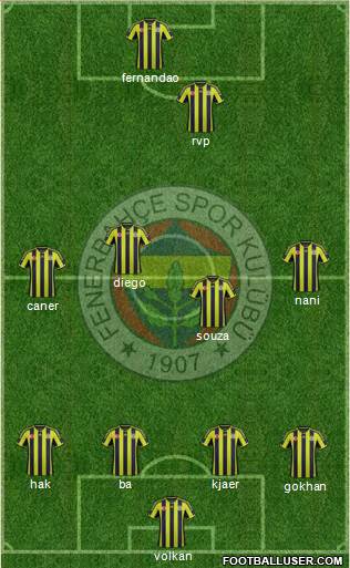 Fenerbahçe SK Formation 2015