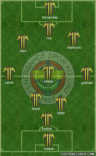 Fenerbahçe SK Formation 2015