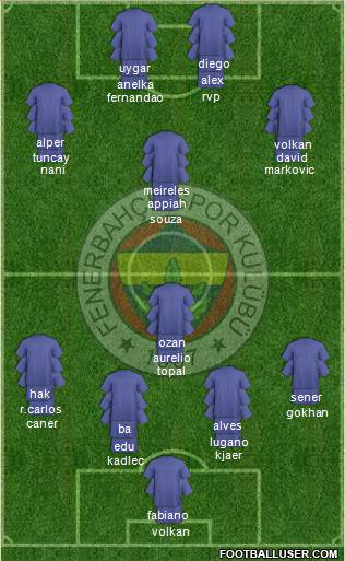 Fenerbahçe SK Formation 2015